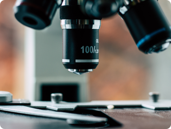 Lorem ipsum dolor sit amet consectetur.